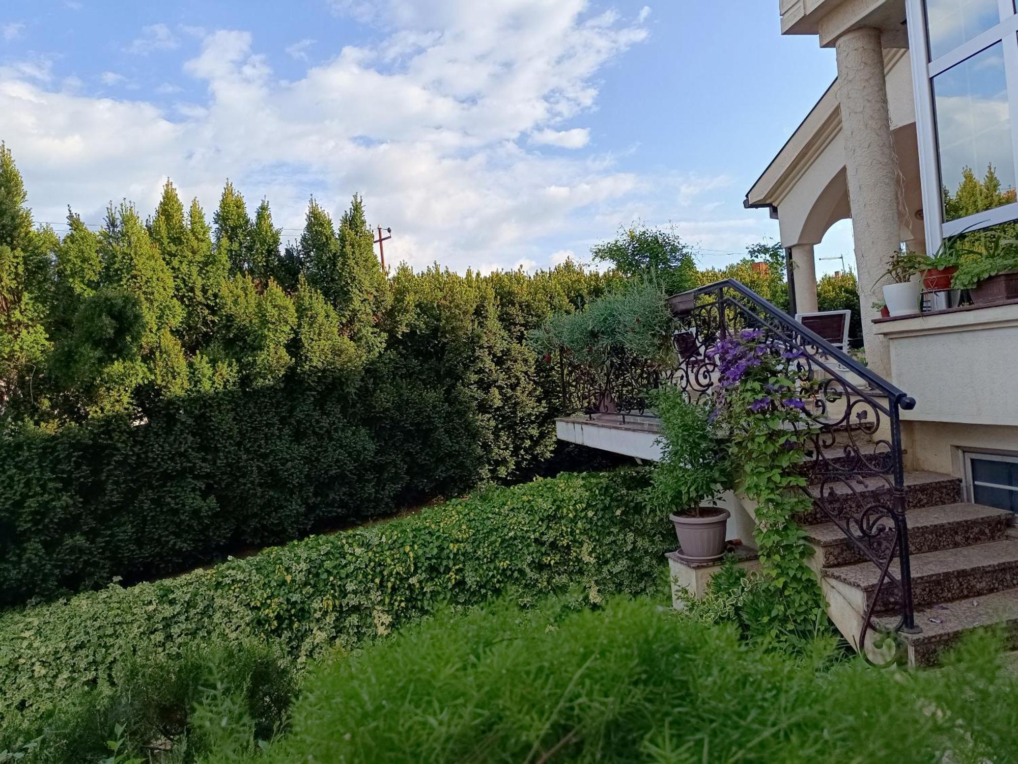 Vila Sentic Vranje Esterno foto