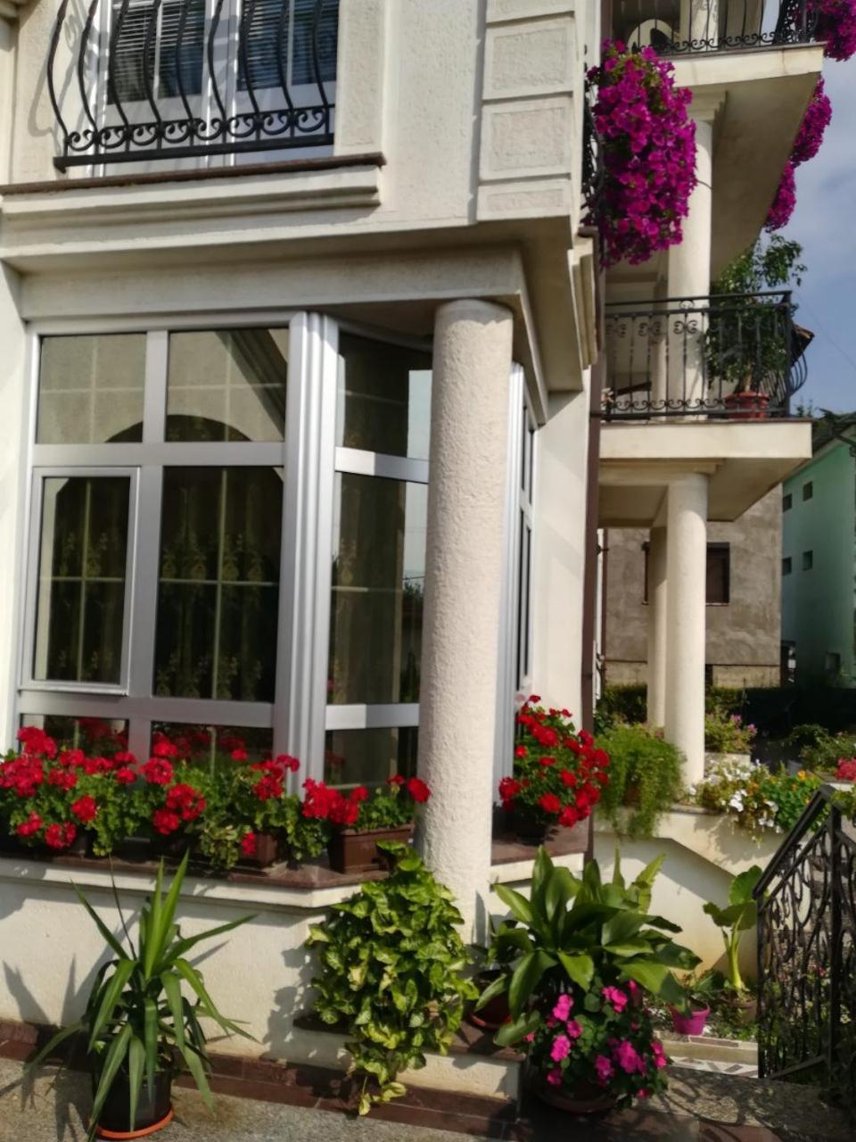 Vila Sentic Vranje Esterno foto